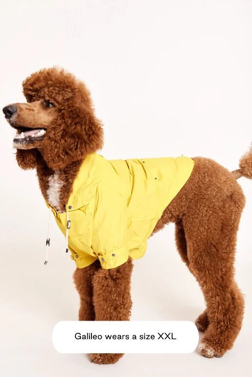 Max bone deals raincoat